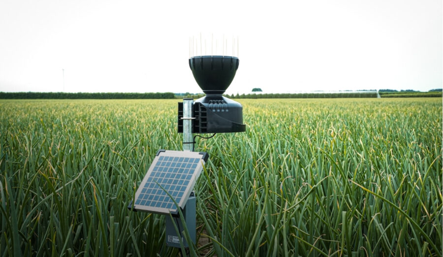 Website ontwikkeling op maat - Agurotech - Your Tech Club